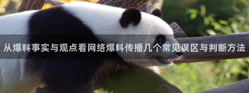 网络黑料事件
