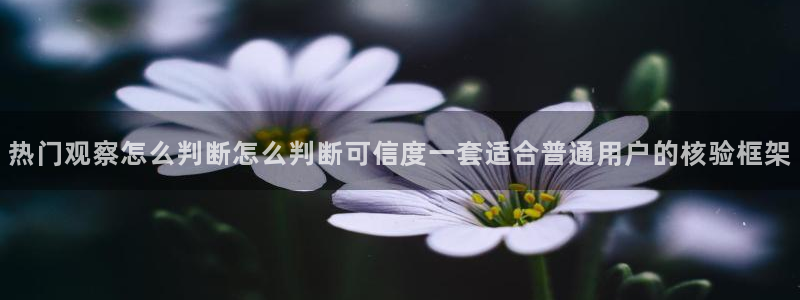 黑料网络新闻