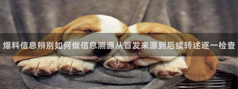 热点爆料网站