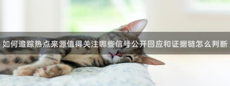 网络热点爆料网