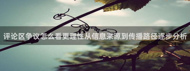 热门网络资讯