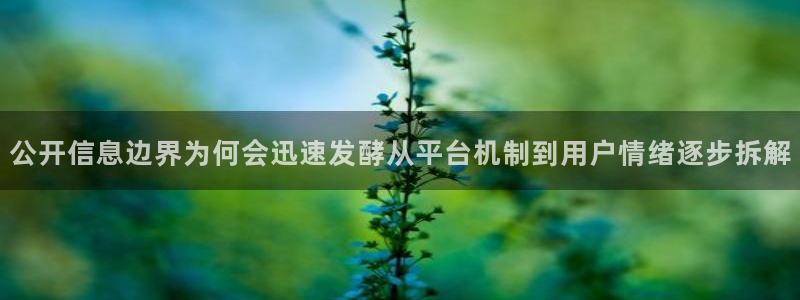 黑料爆料事件搜索