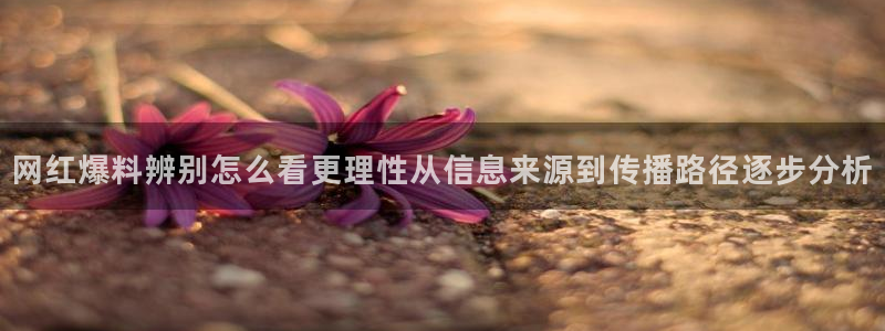黑料热点话题